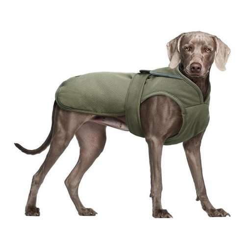 Canvas Cold Weather Dog Coat for Winter