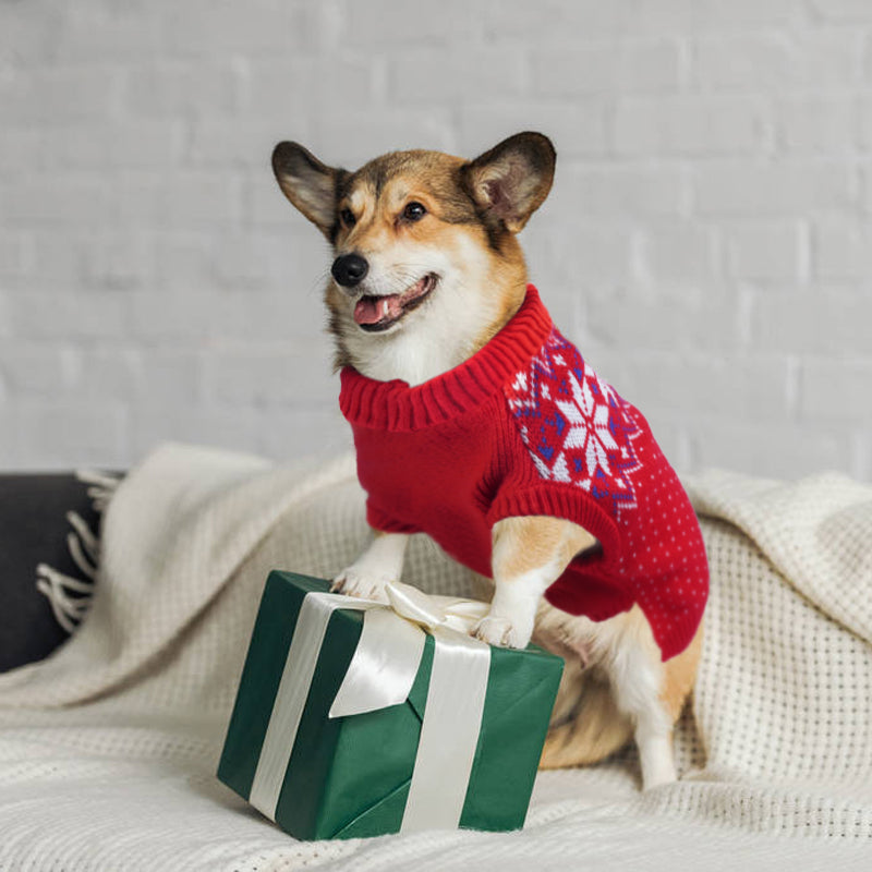 DOG KNITS